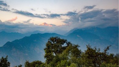 Photo of विदेश सेवा के अधिकारियों ने माना उत्तराखंड का सौन्दर्य स्वीट्जरलैंड से कहीं बेहतर