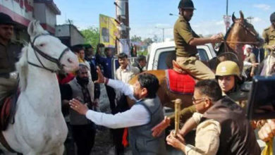 Photo of देहरादून के शक्तिमान घोड़े का मामला हाईकोर्ट में पहुंचा, जानें क्या है विवाद