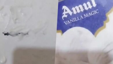 Photo of नोएडा: ऑनलाइन आर्डर की आइसक्रीम में निकला कनखजूरा, महिला ने की कार्रवाई की मांग