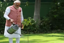 Photo of पीएम नरेंद्र मोदी ने विश्व पर्यावरण दिवस पर लगाया “सिंदूर का पौधा”