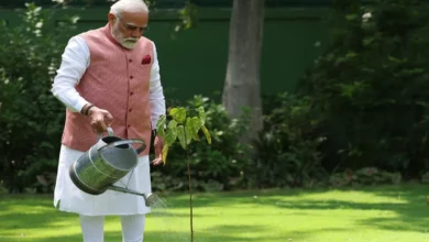 Photo of पीएम नरेंद्र मोदी ने विश्व पर्यावरण दिवस पर लगाया “सिंदूर का पौधा”