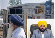 Photo of पंजाब के होशियारपुर में दर्दनाक सड़क हादसा, आठ लोगों की मौत, सीएम मान ने जताया दुख