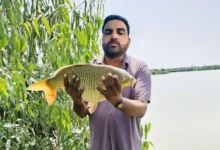 Photo of डबल इंजन सरकार का साथ, असलम की सफलता ने चूम लिया ‘आकाश’