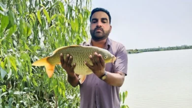 Photo of डबल इंजन सरकार का साथ, असलम की सफलता ने चूम लिया ‘आकाश’