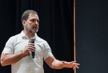 Photo of आवारा कुत्तों को हटाने के सुप्रीम कोर्ट आदेश पर राहुल गांधी ने उठाए सवाल, कही ये बात