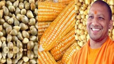 Photo of पहली अक्टूबर से शुरू होगी ‘मोटे अनाज’ की खरीद