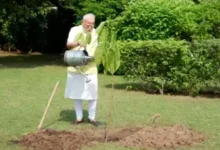 Photo of पीएम मोदी ने लगाया कदम्ब का पौधा, किंग चार्ल्स का जन्मदिन उपहार