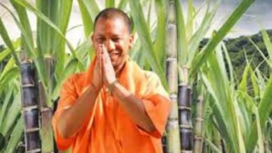 Photo of योगी सरकार का गन्ना किसानों को बड़ा तोहफा, 30 रुपये प्रति क्विंटल बढ़ा समर्थन मूल्य