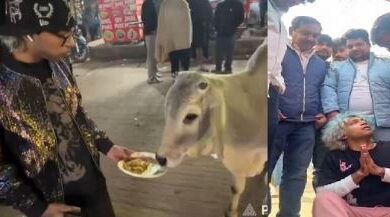 Photo of सोशल मीडिया की सनक में युवक ने गाय को खिलाए चिकन मोमोज, वीडियो वायरल होने पर पिटाई और केस दर्ज