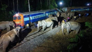 Photo of असम में हाथियों से टकराई राजधानी एक्सप्रेस, 8 की मौत, इंजन समेत पांच डिब्बे पटरी से उतरे