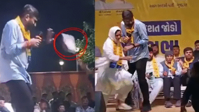 Photo of जामनगर में AAP विधायक गोपाल इटालिया पर जूता फेंका, मंच पर अफरा-तफरी, आरोपी कांग्रेस कार्यकर्ता हिरासत में