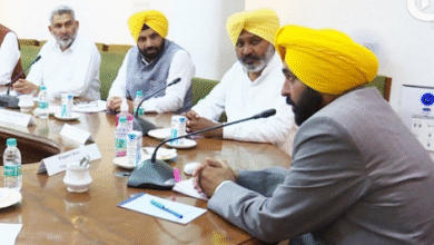 Photo of पंजाब सरकार ने विधवा और बेसहारा महिलाओं को दी 895 करोड़ रुपये से अधिक की आर्थिक सहायता