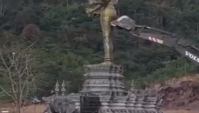 Photo of थाईलैंड – कंबोडिया सीमा विवाद में नया विवाद, भगवान विष्णु की मूर्ति गिराए जाने पर भारत ने जताई चिंता
