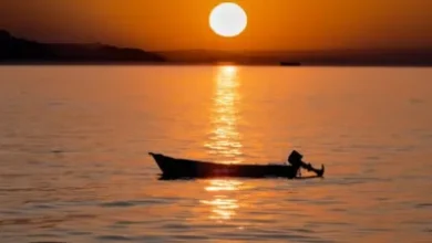 Photo of असम के बारपेटा में ब्रह्मपुत्र नदी में नाव हादसा, 4 बच्चों समेत 6 लोग लापता