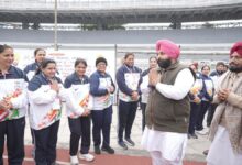 Photo of पंजाब में स्पोर्ट्स कल्चर को बढ़ावा, मान सरकार बना रही 3100 खेल मैदान