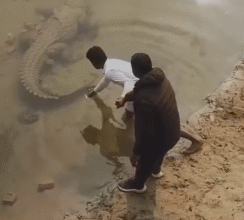 Photo of कासगंज में नहर में उतरकर मगरमच्छ को बाहर निकालते दिखा युवक, वीडियो हुआ वायरल