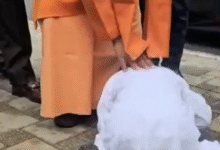 Photo of जापान में योगी आदित्यनाथ से मिले बच्चे, संस्कृत श्लोक सुनाकर किया दंडवत प्रणाम, वीडियो हुआ वायरल