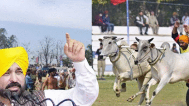 Photo of 13 साल बाद लौटी बैलगाड़ी दौड़ की रौनक, किला रायपुर ग्रामीण ओलंपिक का समापन, CM भगवंत मान ने किया सम्मान
