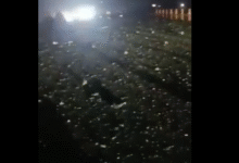 Photo of तुर्की में एफ-16 लड़ाकू विमान दुर्घटनाग्रस्त, पायलट की मौत