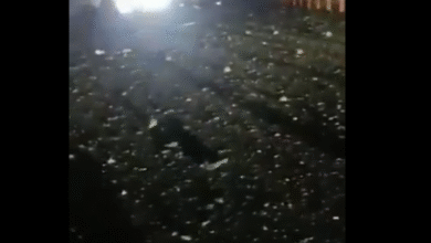 Photo of तुर्की में एफ-16 लड़ाकू विमान दुर्घटनाग्रस्त, पायलट की मौत