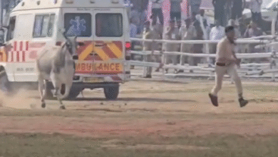 Photo of मुख्यमंत्री नीतीश के बेगूसराय पहुंचने से पहले हेलीपैड कैंपस में घुसा सांड, पुलिसकर्मियों को दौड़ाया