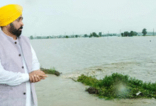 Photo of पंजाब में सिंचाई क्रांति का दावा: 4 साल में 78% तक पहुंची नहरी सिंचाई, सीएम मान ने गिनाए काम