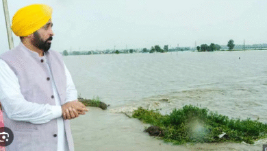 Photo of पंजाब में सिंचाई क्रांति का दावा: 4 साल में 78% तक पहुंची नहरी सिंचाई, सीएम मान ने गिनाए काम