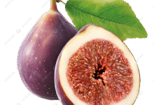 Photo of अंजीर खाने के फायदे: सेहत के लिए एक बेहतरीन प्राकृतिक उपहार