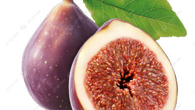 Photo of अंजीर खाने के फायदे: सेहत के लिए एक बेहतरीन प्राकृतिक उपहार