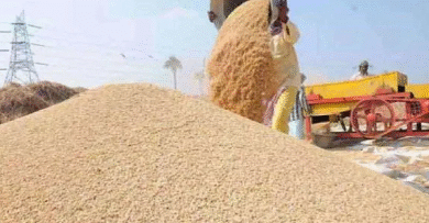 Photo of बिहार में 1 अप्रैल से शुरू होगी गेहूं खरीद, MSP पर मिलेगा 2,585 रुपये प्रति क्विंटल