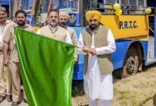 Photo of सीएम मान ने 250 नई बसों को दिखाई हरी झंडी, परिवहन और रोजगार को मिलेगा बढ़ावा
