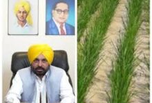 Photo of सेमग्रस्त 201 गांवों को राहत: पंजाब सरकार ने अग्रिम धान बुवाई की दी छूट