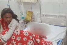Photo of बहराइच में तेंदुए का आतंक: चारपाई से बच्ची को उठा ले गया, मां ने बहादुरी दिखाकर बचाई जान
