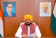 Photo of पंजाब यूनिवर्सिटी सीनेट भंग करने के फैसले पर भड़के भगवंत मान, बोले- ‘केंद्र की दादागिरी बर्दाश्त नहीं करेंगे’