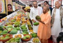 Photo of सीएम योगी के हाथों होगा आम महोत्सव का उद्घाटन, 800 किस्मों के आम होंगे प्रदर्शित