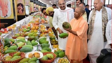 Photo of सीएम योगी के हाथों होगा आम महोत्सव का उद्घाटन, 800 किस्मों के आम होंगे प्रदर्शित
