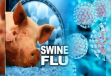 Photo of Swine Flu का बढ़ा खतरा! क्या फ्लू वैक्सीन से मिलेगा बचाव? जानें कौन लगवा सकता है टीका और कितनी है कीमत