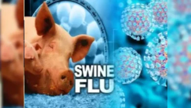 Photo of Swine Flu का बढ़ा खतरा! क्या फ्लू वैक्सीन से मिलेगा बचाव? जानें कौन लगवा सकता है टीका और कितनी है कीमत