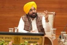Photo of भगवंत मान बोले- ‘लाल-पीले और नीले कार्ड से कुछ समय की रोटी, गरीबी का स्थायी समाधान शिक्षा से’