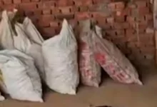 Photo of बिजनौर की पटाखा फैक्ट्री में चल रहा था बड़ा खेल, 1200 किलो से ज्यादा विस्फोटक बरामद, सुतली बम और कारतूस भी मिले