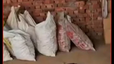 Photo of बिजनौर की पटाखा फैक्ट्री में चल रहा था बड़ा खेल, 1200 किलो से ज्यादा विस्फोटक बरामद, सुतली बम और कारतूस भी मिले
