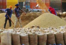 Photo of रबी फसलों के MSP में बढ़ोतरी, गेहूं का समर्थन मूल्य ₹2,610 प्रति क्विंटल