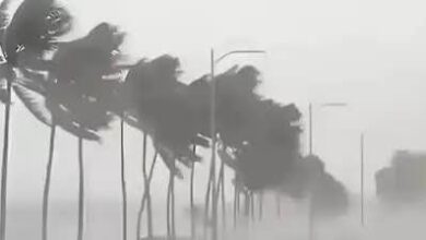 Photo of Weather Alert: यूपी-दिल्ली समेत 11 राज्यों में भारी बारिश का अलर्ट, 80 KM तक चल सकती हैं तेज हवाएं