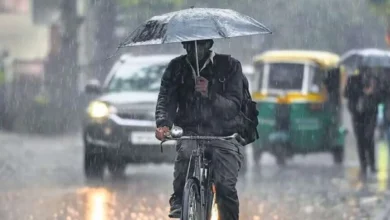Photo of Weather Alert: आज कई राज्यों में भारी बारिश का अलर्ट, आंधी-बिजली को लेकर भी चेतावनी