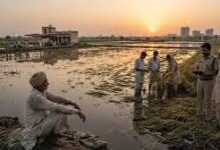 Photo of 12 अक्टूबर तक पूरा होगा फसल क्षति का डिजिटल सर्वे, प्रभावित किसानों को मिलेगी नियमानुसार सहायता