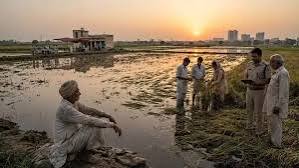 Photo of 12 अक्टूबर तक पूरा होगा फसल क्षति का डिजिटल सर्वे, प्रभावित किसानों को मिलेगी नियमानुसार सहायता
