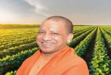 Photo of योगी सरकार में खेती से समृद्धि की राह