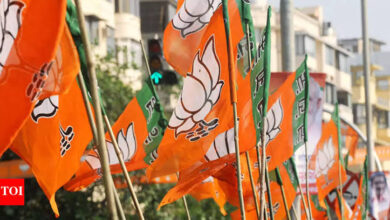 Photo of राज्यसभा उपचुनाव के लिए BJP ने घोषित किए उम्मीदवार, पश्चिम बंगाल से कोयल मल्लिक और उत्तराखंड से दिनेश आर्य को टिकट