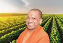 Photo of प्राकृतिक खेती से बदलेगी गांवों की अर्थव्यवस्था, यूपी में बनेंगे प्राकृतिक खेती के जिले